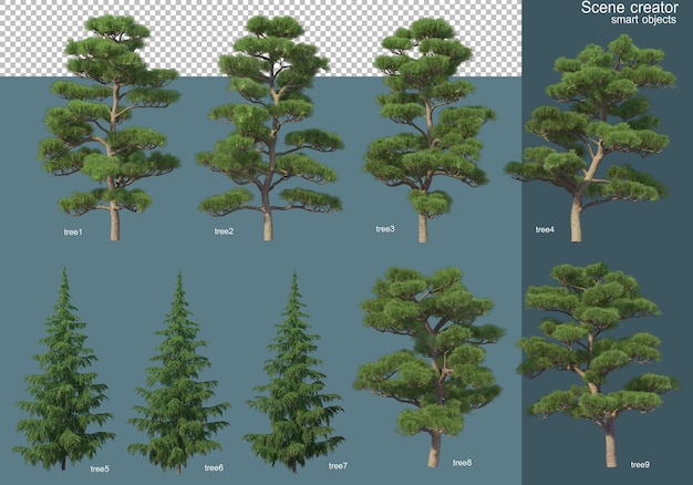 Rendering 3d di vari tipi di alberi di pino