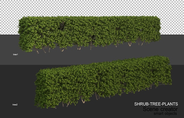 PSD 3d rendering of various types of shrub layouts