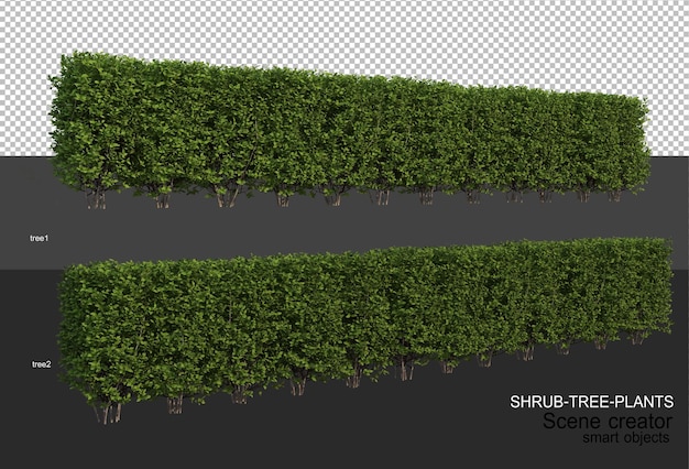 3d rendering of various types of shrub layouts