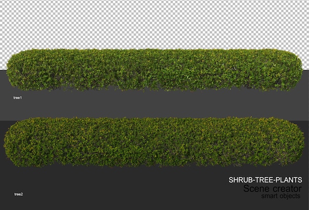 PSD 3d rendering of various types of shrub layouts