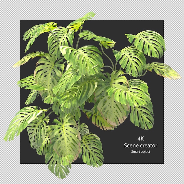 PSD 3d rendering various types of small plants arrangements rendering