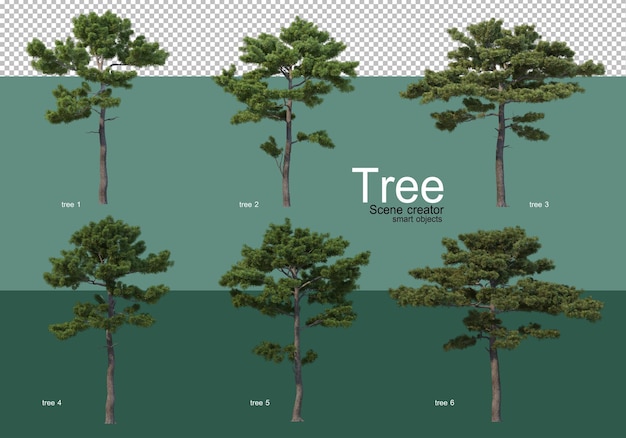 3d rendering, various types of tree layouts