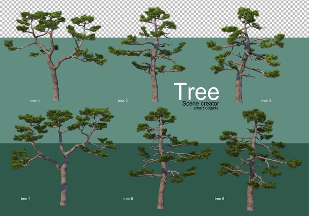 Premium PSD | 3d rendering, various types of tree layouts