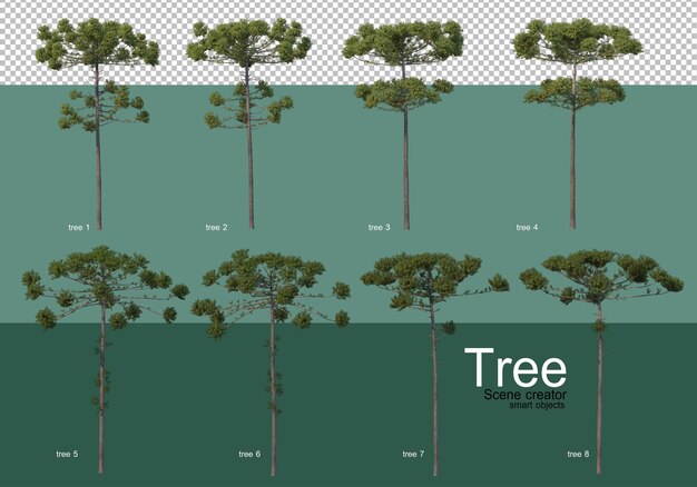 3d rendering, various types of tree layouts