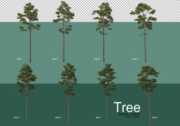 PSD 3d rendering, various types of tree layouts