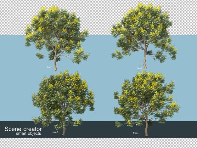 Rendering 3d vari tipi di alberi