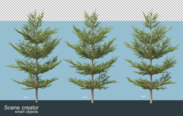 3d rendering various types of trees