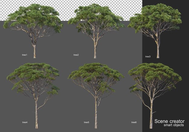 3d-rendering, verschillende boomlay-outs