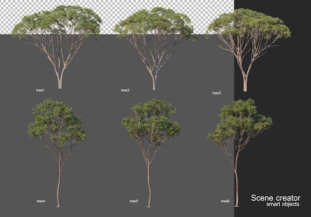 3d-rendering, verschillende boomlay-outs