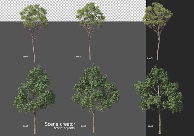 3d-rendering, verschillende boomlay-outs