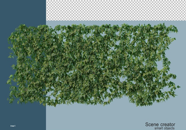 3D-rendering verschillende soorten bomen