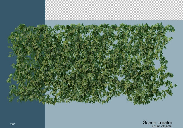 3d-rendering verschillende soorten bomen