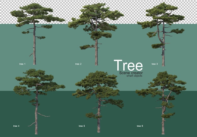 3d-rendering, verschillende soorten boomlay-outs