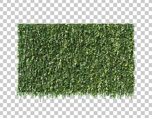 PSD 3d rendering of vertical garden wall