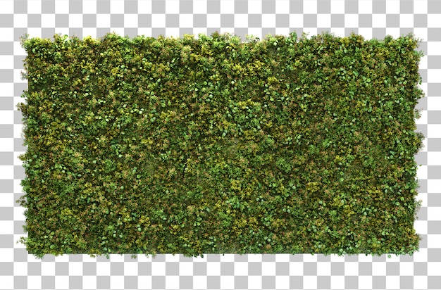 3d rendering of vertical garden