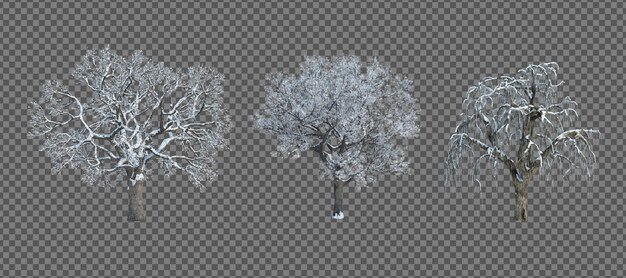 Rendering 3d albero d'inverno isolato sfondo tagliato