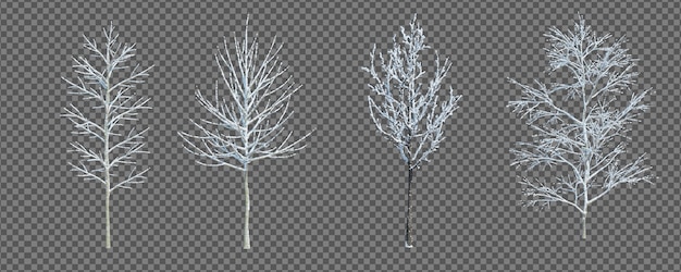 3d rendering winter tree isolated cut background