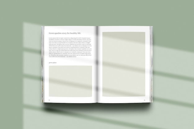 3d rendering with shadow effect on book mockup