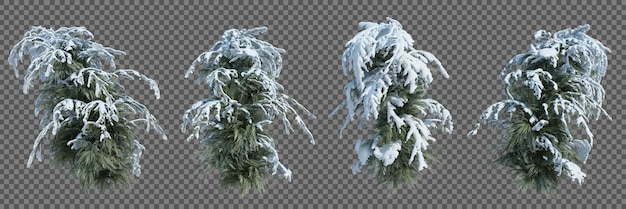 3d rendering Zimowe drzewo izolowane cięcie tła