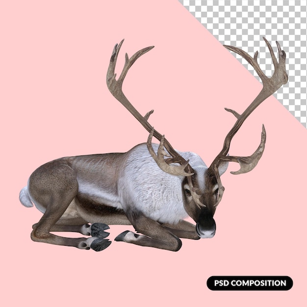 PSD 3d renderowania deer zwierząt zoo na białym tle premium psd