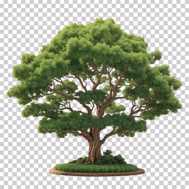 3d Renderowanie Dużego Zielonego Drzewa Ogrodowego Izolowanego Na Przezroczystym Tle