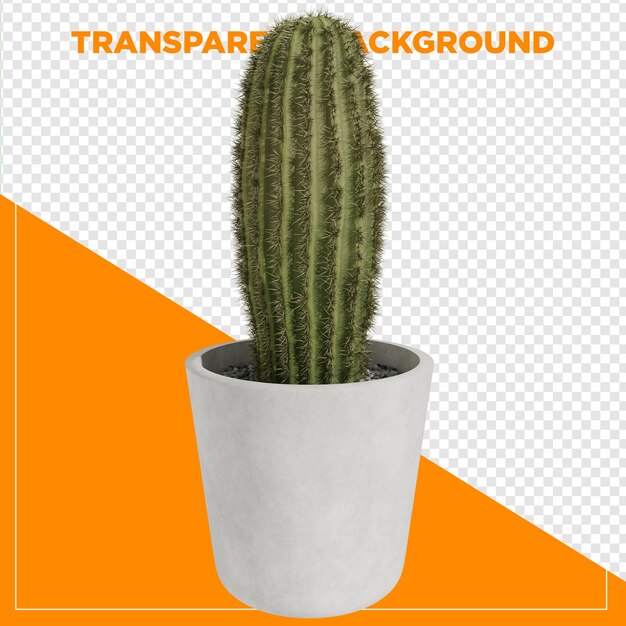 3D renderowanie kaktusa w wazonie z przezroczystym tłem