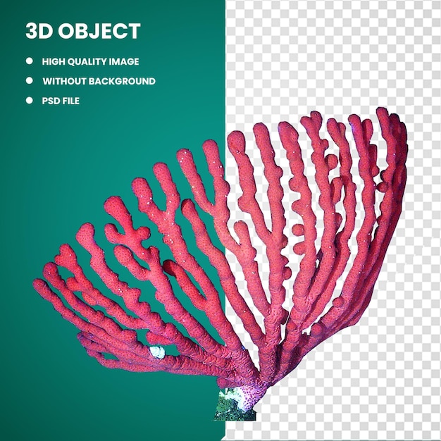 PSD 3d roze koraal koraalrif diepwater koraal