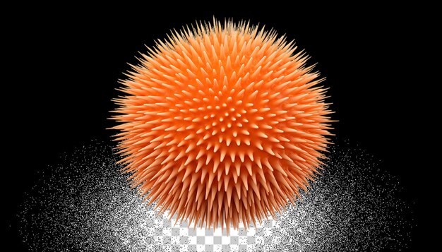 PSD 3d sea urchin png transparent