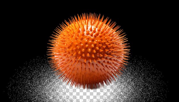 3d sea urchin png transparent