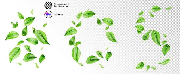 3dセットの緑の葉が空中に落ちて飛ぶ 白い背景に隔離されたレンダリング 新鮮な葉の丸いフレーム 茶葉や薄荷の波の流れ 製品パッケージデザイン