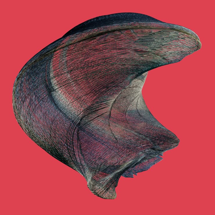 PSD 3d shape abstract elemnt