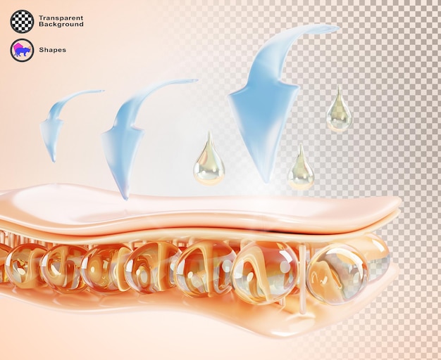 3d skin cell layer with gold oil drop collagen serum Epidermis fat tissue render with liquid essence droplet and blue infographic arrow Innovation cosmetic skincare solution banner