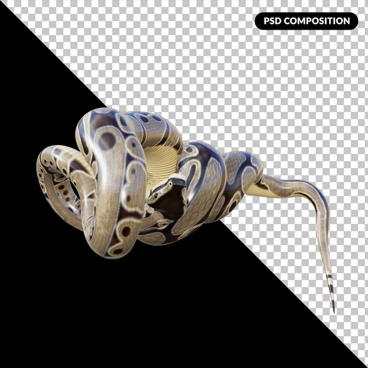 PSD 3d snake animal isolated render