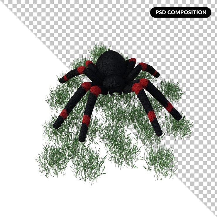 PSD 3d spider illustration isolated