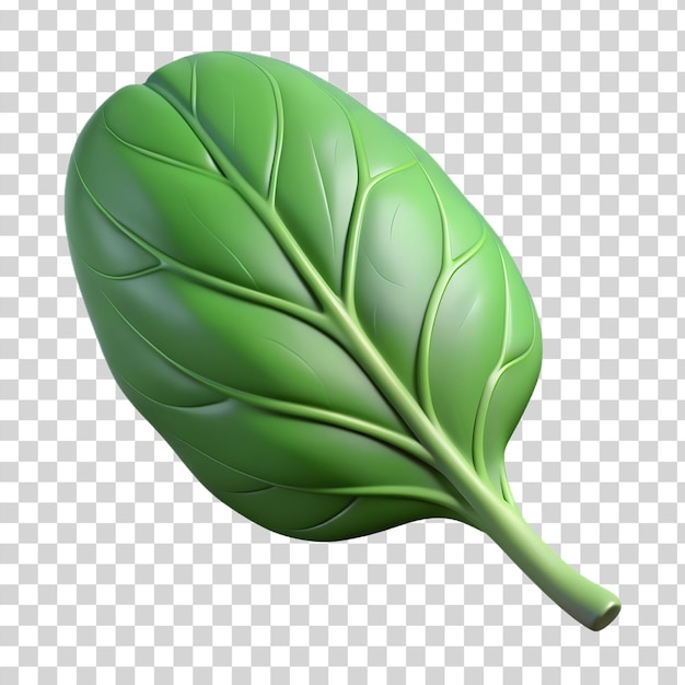 3d spinach leave isolated on transparent background