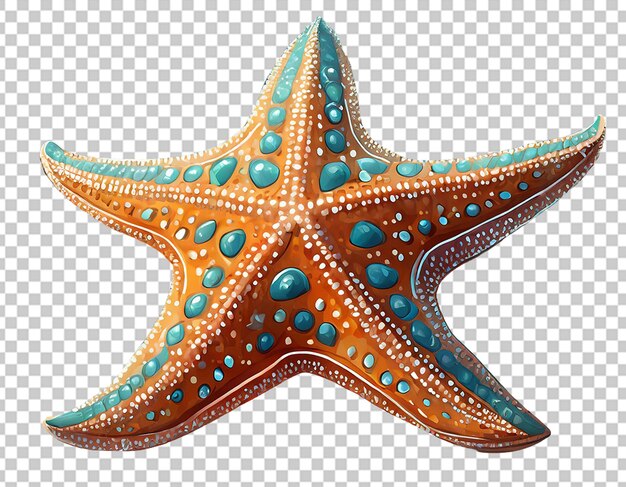 PSD 3d star fish