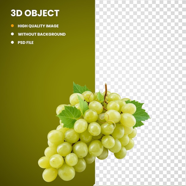 3d Sultana Grape Verjuice Wine 씨 ⁇  없는 과일과 포도 및 자연 식품 및 식품