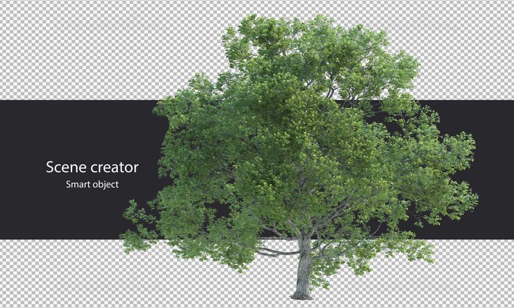 PSD 3d tree branch isolated tree branch clipping path
