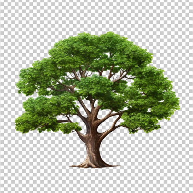 PSD clipart di albero 3d su sfondo bianco