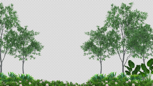 3d tree isolated 