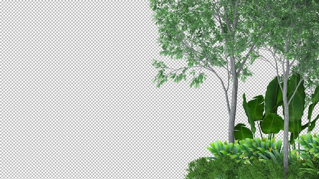 PSD 3d tree isolated