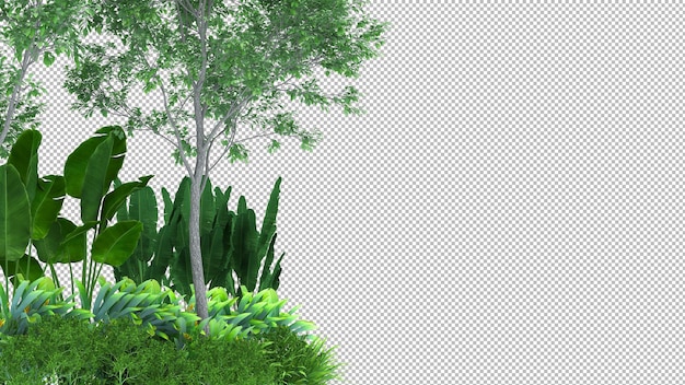 PSD 3d tree isolated