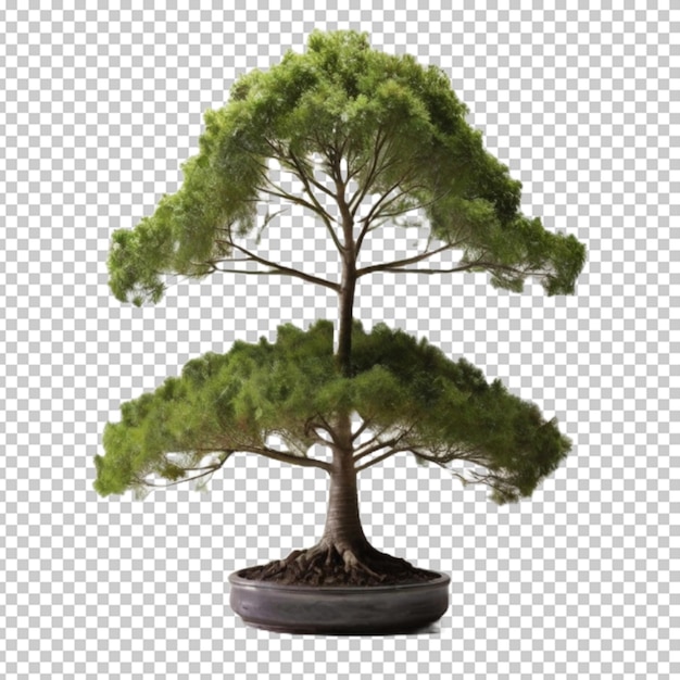 PSD 3d tree png