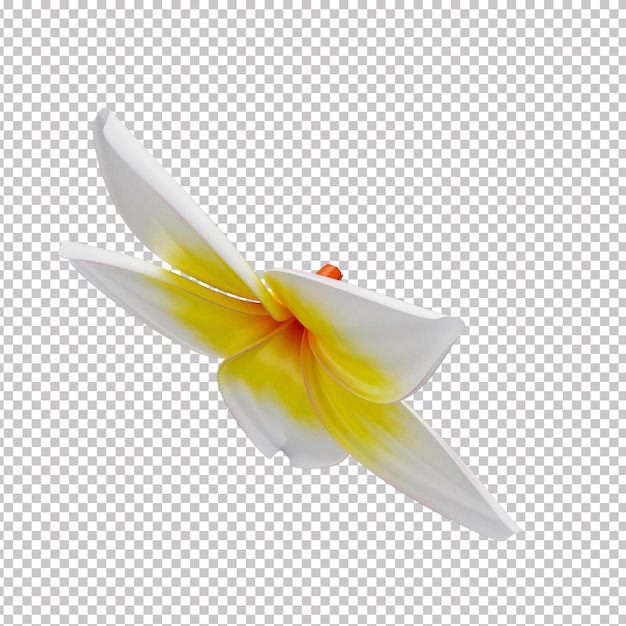 3d Tropical Flower Plumeria Rubra Dla Lata Z Przezroczystym Tłem