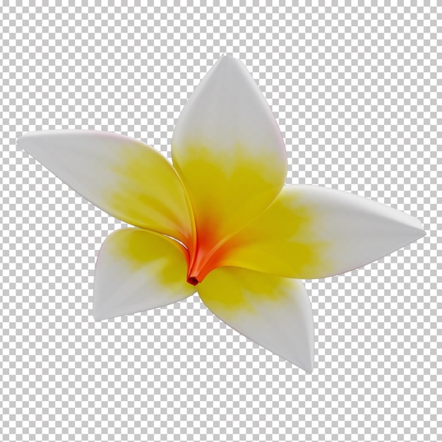 3D Tropische bloem Plumeria Rubra voor de zomer met doorzichtige achtergrond