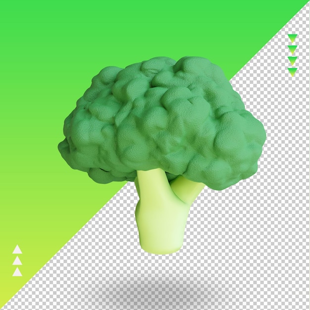 3d vegetable broccoli rendering right view