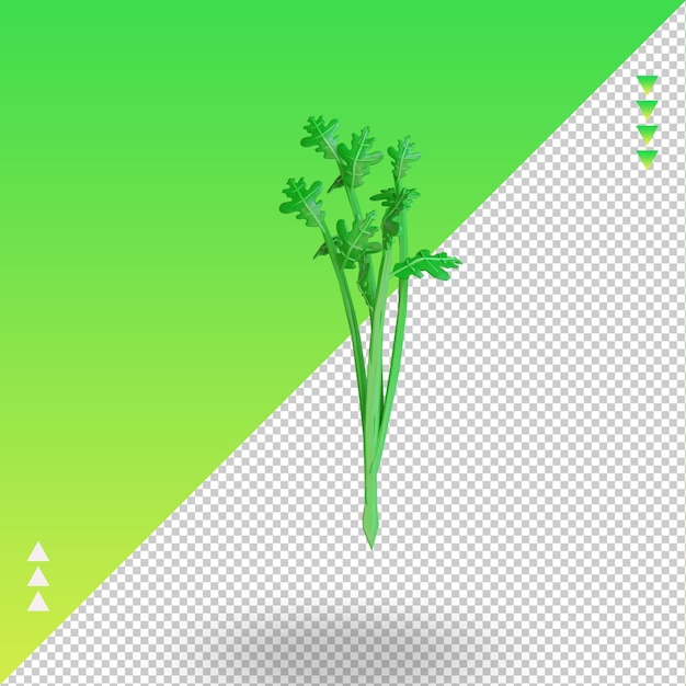 3 d 野菜セロリ レンダリング右ビュー