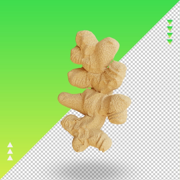 3d vegetable ginger rendering right view