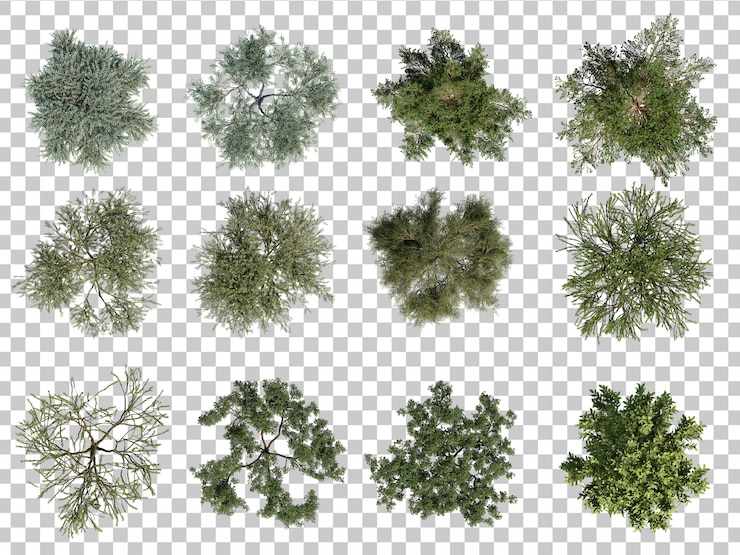 PSD 3d-weergave van bomen bovenaanzicht