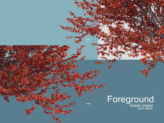 3D-weergave van bomen foregroung geïsoleerd